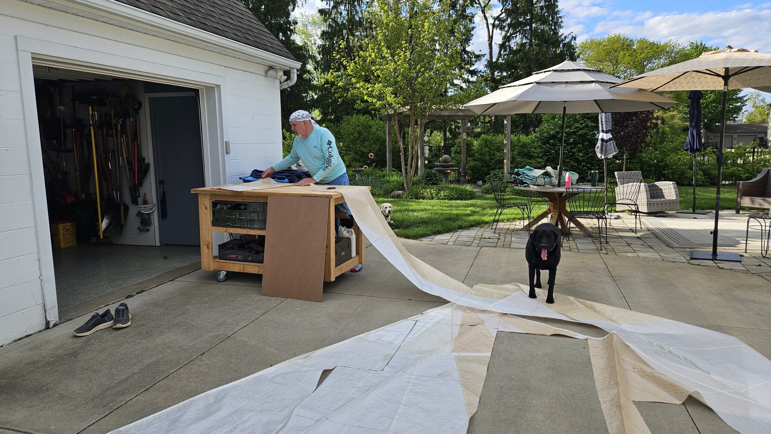 Sail cut bench dog